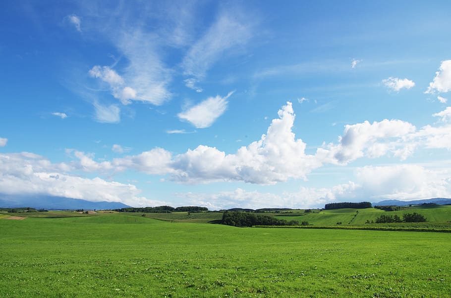 cloudy, sky, green, grass field, Earth, Natural, Biei, Meadow, summer, landscape