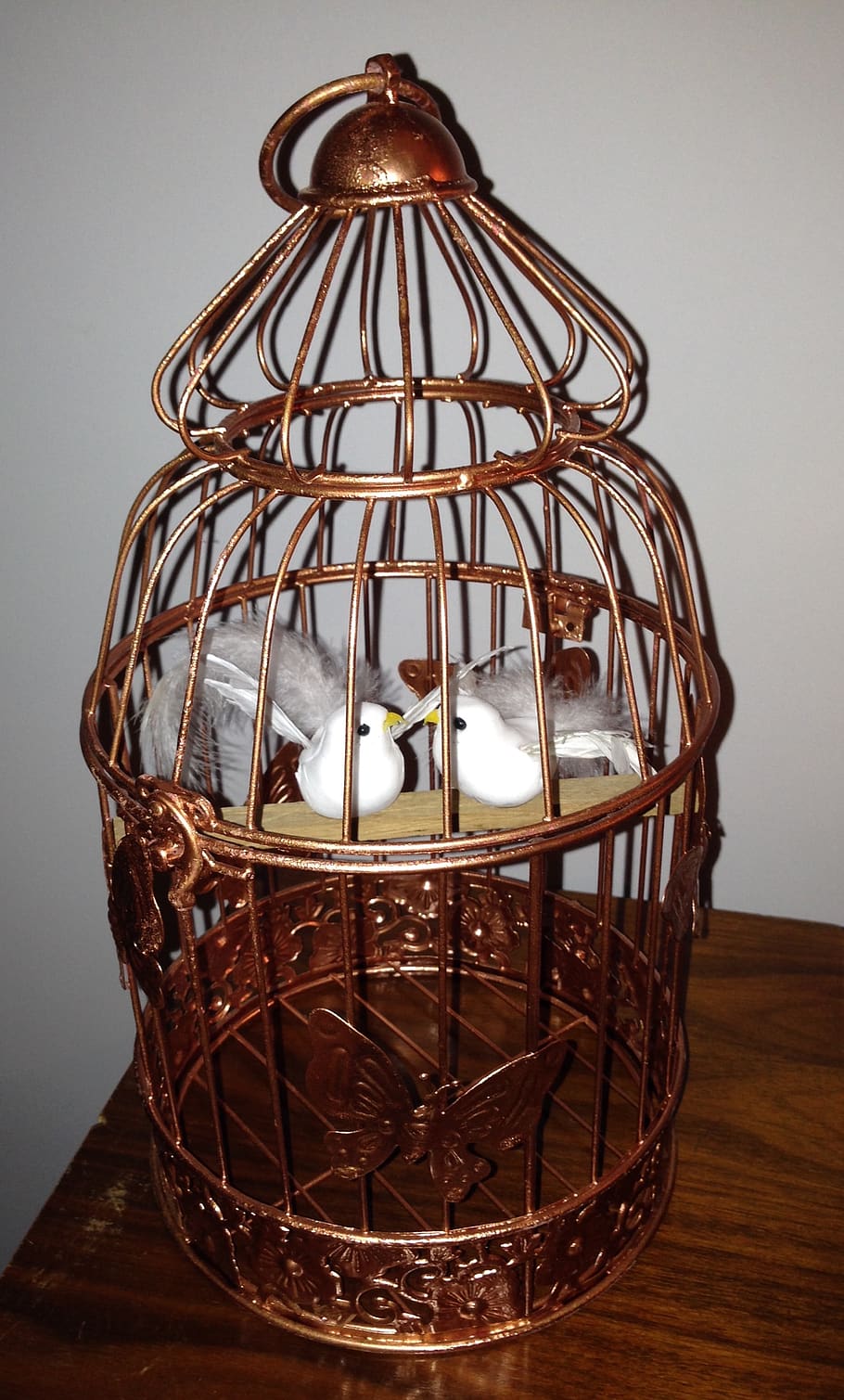cage, bird, couple birds, indoors, close-up, candle, decoration, flame, table, lighting equipment
