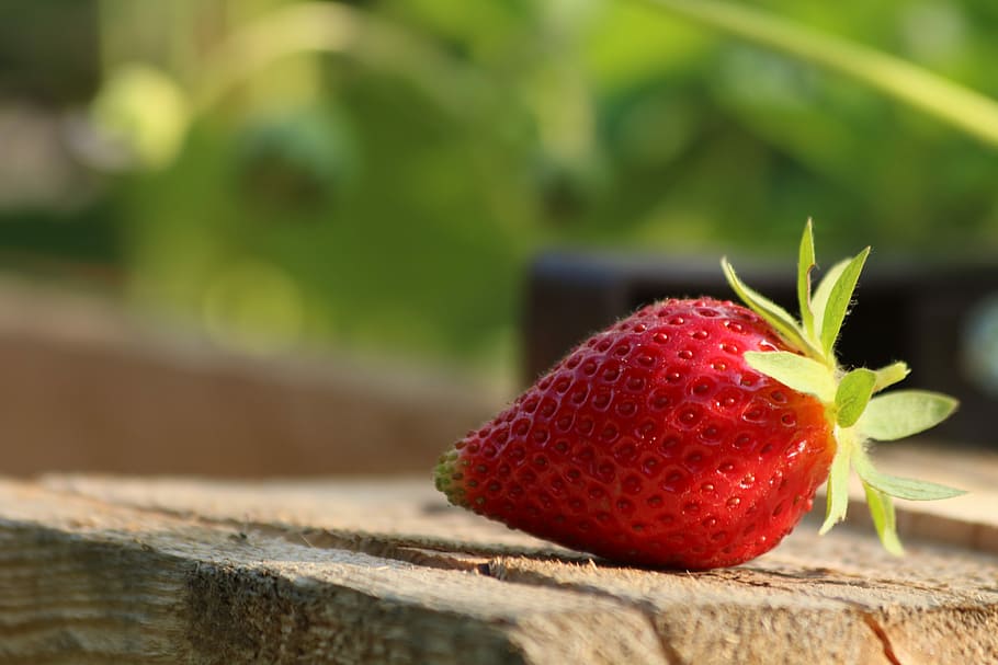 strawberry, mature, fruit, red, fetus, summer, garden, healthy eating, food and drink, food