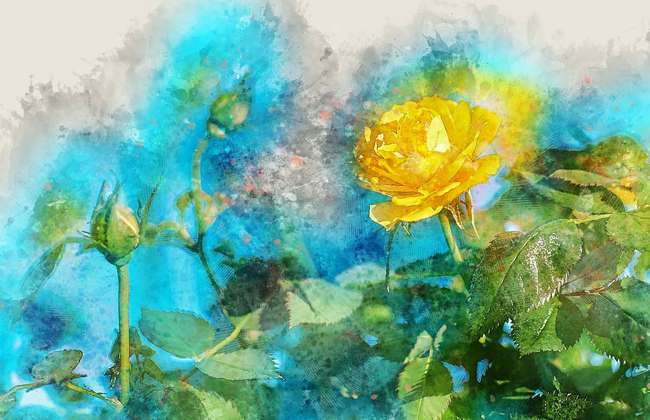 yellow rose painting, flower, nature, leaf, flora, summer, rose, beautiful, garden, floral