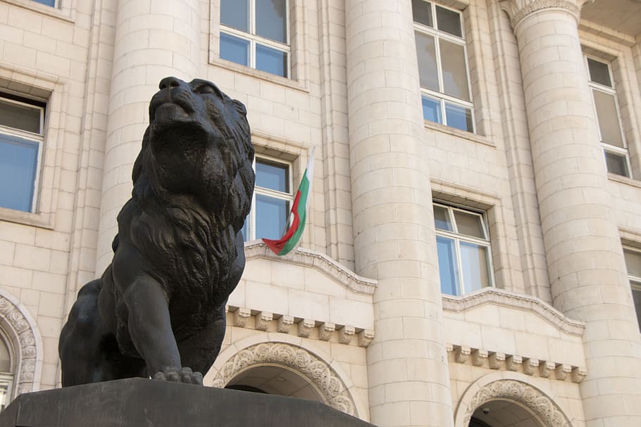 bulgaria, the statue of, lion, palace, city, flag, pledge, window, historic building, sofia