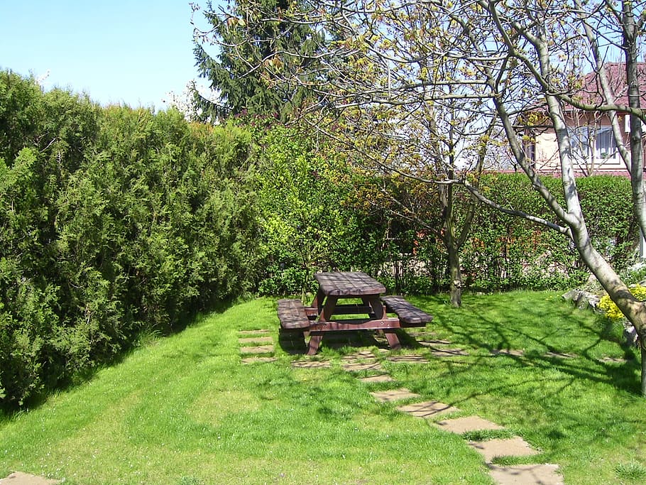 Garden, Picnic Table, Winter, rest garden, garden bench, tree, green color, day, field, grass