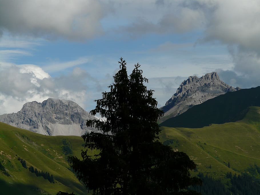 panorama, alpine, mountains, mountain, tree, fir, alpenpanorma, meadow, alm, scenics - nature