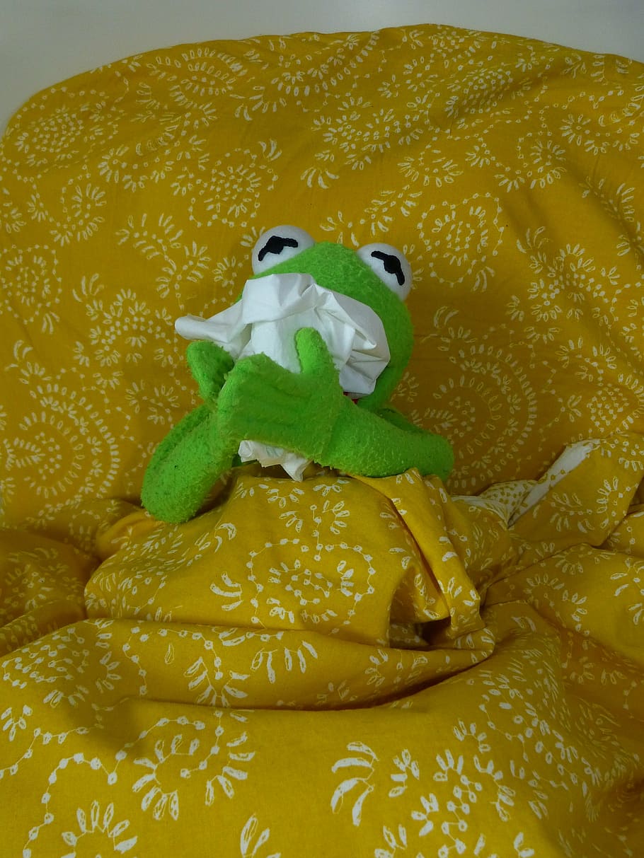 ill, cold, sniff, handkerchief, kermit, frog, indoors, representation, toy, close-up