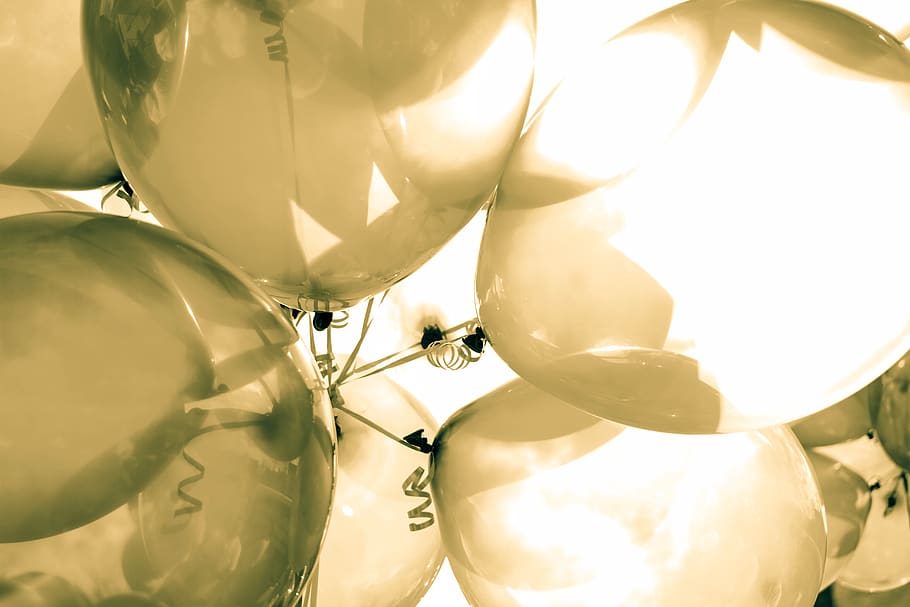 balloon, clear, silver, sunny, day, party, close-up, freshness, indoors, nature
