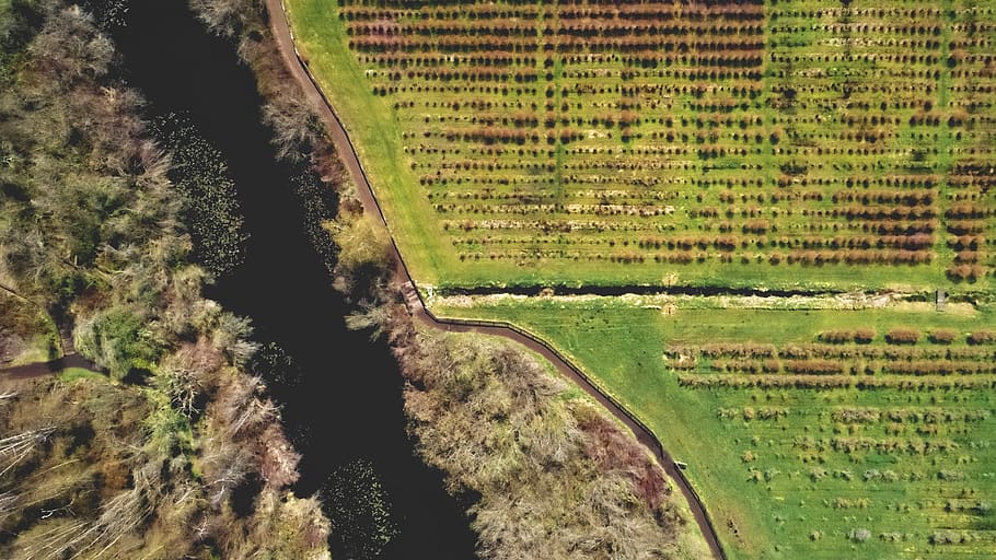 fazenda, terra, aérea, rio, água, paisagem, drone, acima, natureza, ao ar livre