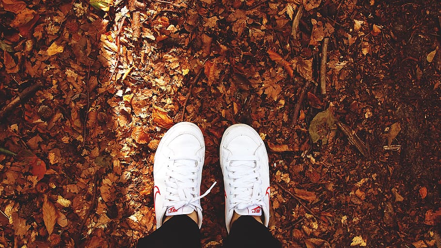 nike, shoes, sneakers, white, leaves, autumn, fall, shoe, low section, real people
