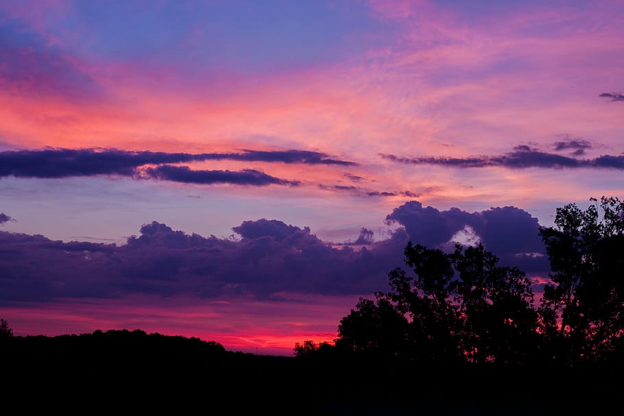 silhouette, trees, orange, purple, cloudy, skies, sunrise, sky, clouds, dark
