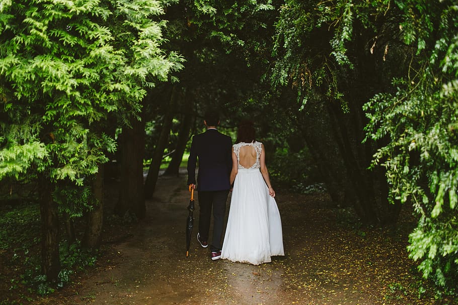 couple, walking, umbrella, nature, green, plants, wedding, dress, suit, people