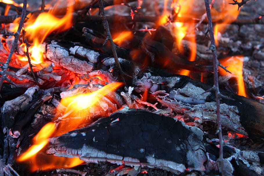 madera quemada, fuego, brasas, llama, calor, llamas, caliente, hoguera, fogata, quema