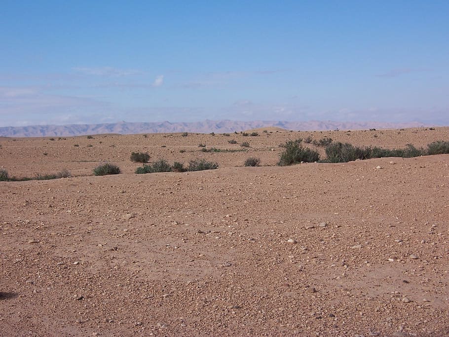 brown, sand desert, green, grass, blue, skies, Desert, Algeria, Rustic, Landscape