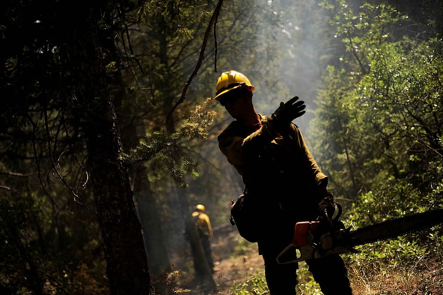 man, holding, chainsaw, forest, firefighter, forest fire, hot, smoke, smoky, fireman