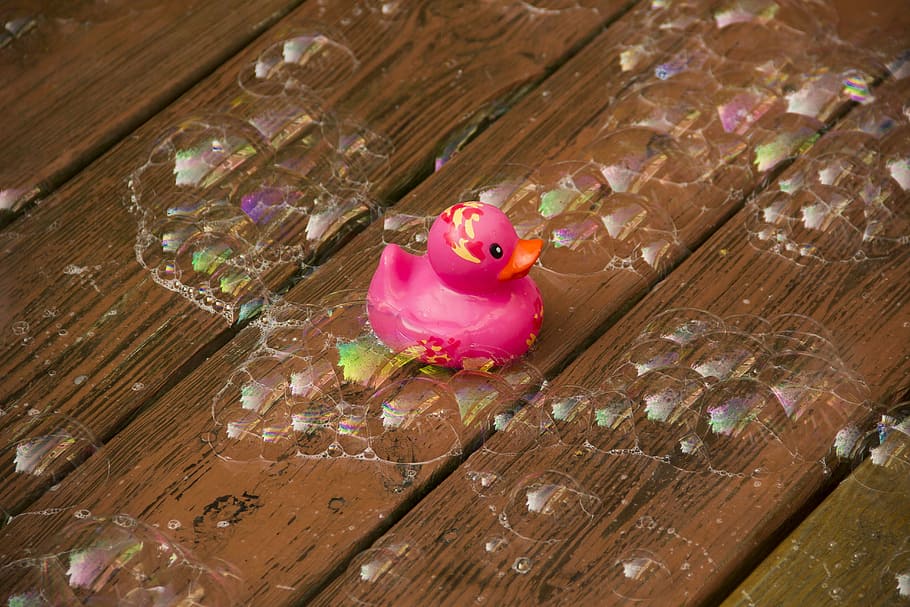 pink, bathroom duck, wooden, surface, bubbles, rubber duck, toy, water, child, fun
