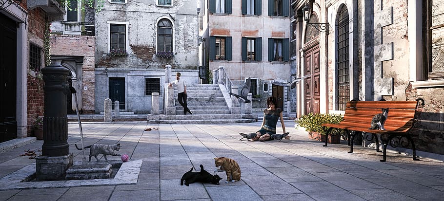 venice, pigeons, cats, fontana, man, woman, bench, bridge, piazza, calle