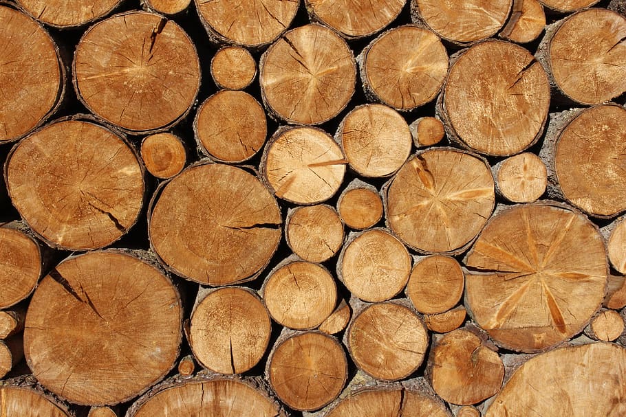 chopped tree logs, nature, wood, dry wood, timber, backgrounds, full frame, log, firewood, wood - material