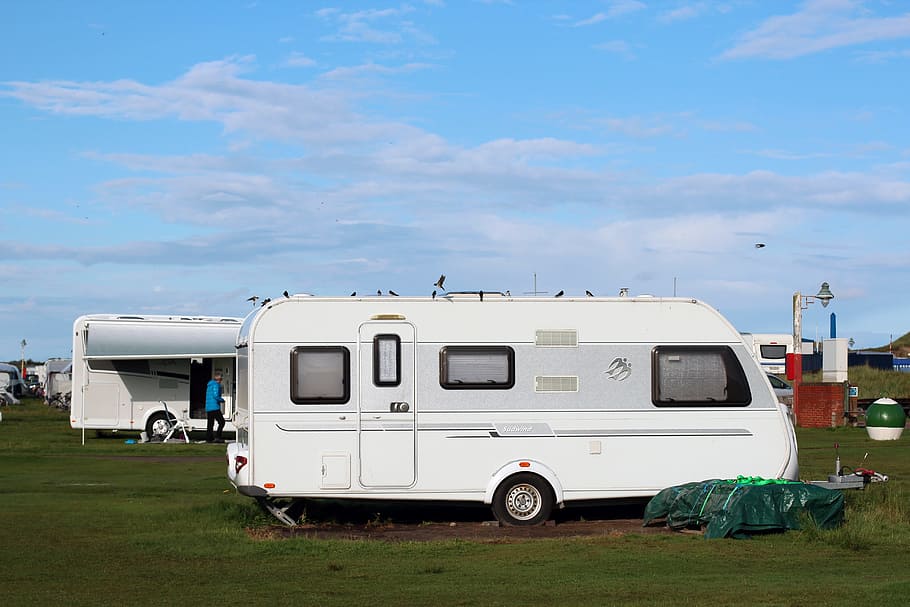 blanco, gris, trailer de camping, al aire libre, caravana, camping, vacaciones, vivir, viajar, dormir
