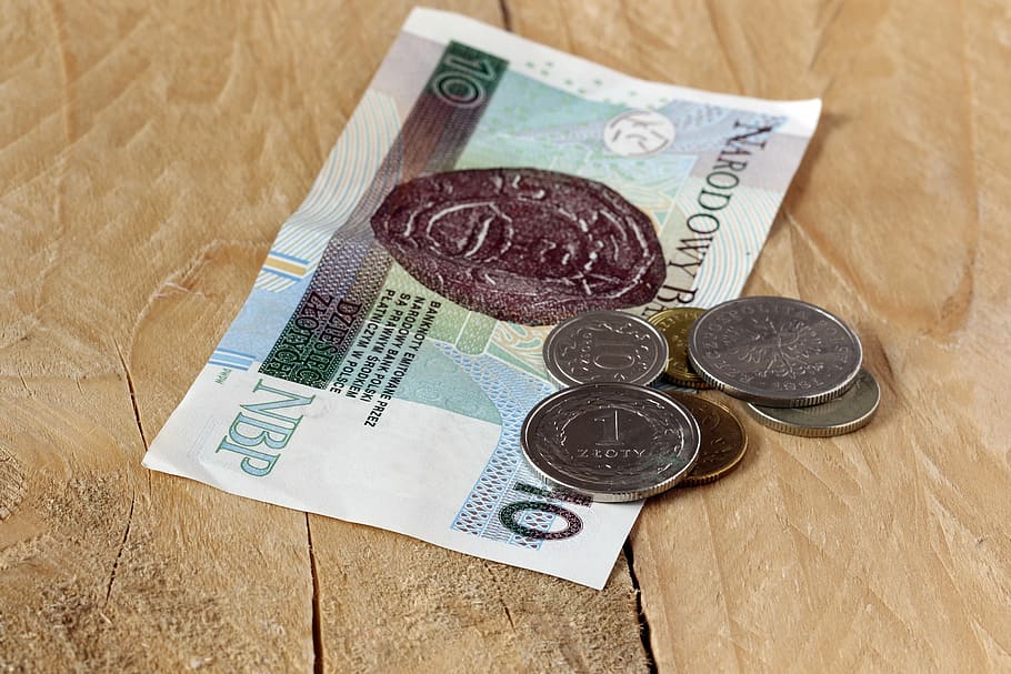 dinheiro, notas de euro, seguro, zloty polonês, notas polonesas, centavo, moedas, salvar, pagamento, finanças