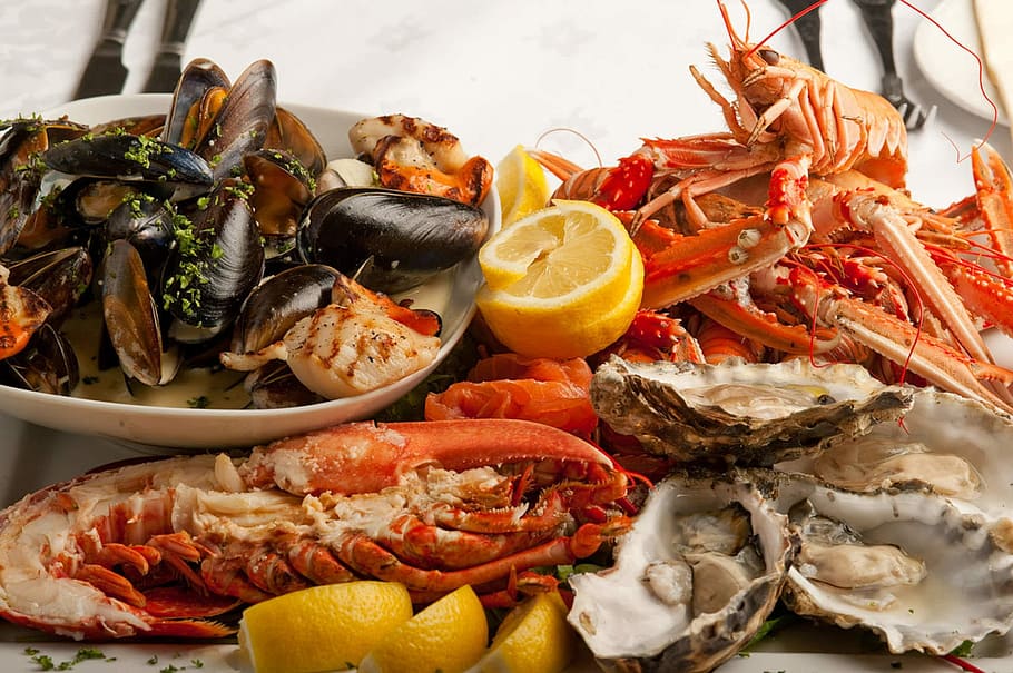 Fish, Meal, Prawn, Shell, fishfood, seafood, food and drink, food, healthy eating, crustacean