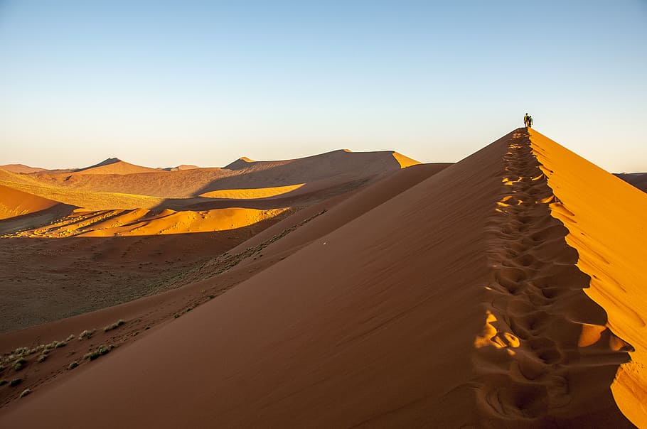 pessoa, andando, areia, coberto, terreno, Namíbia, Wolwedans, Namib Edge, deserto, distância