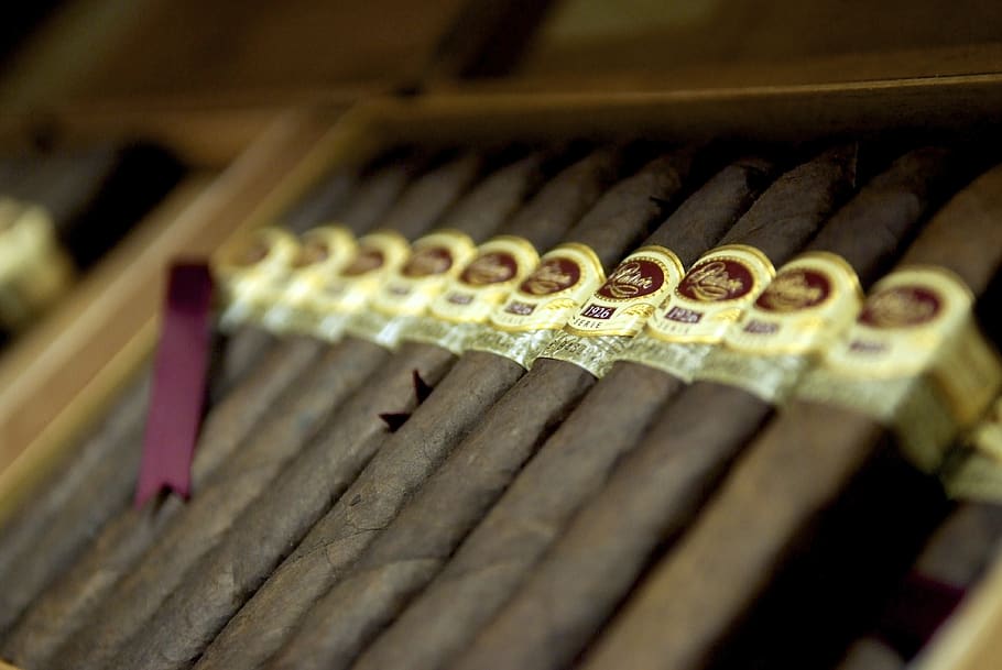 cigar, cigars, cigars in box, tobacco, humidor, smoking, cigar shop, selective focus, close-up, indoors