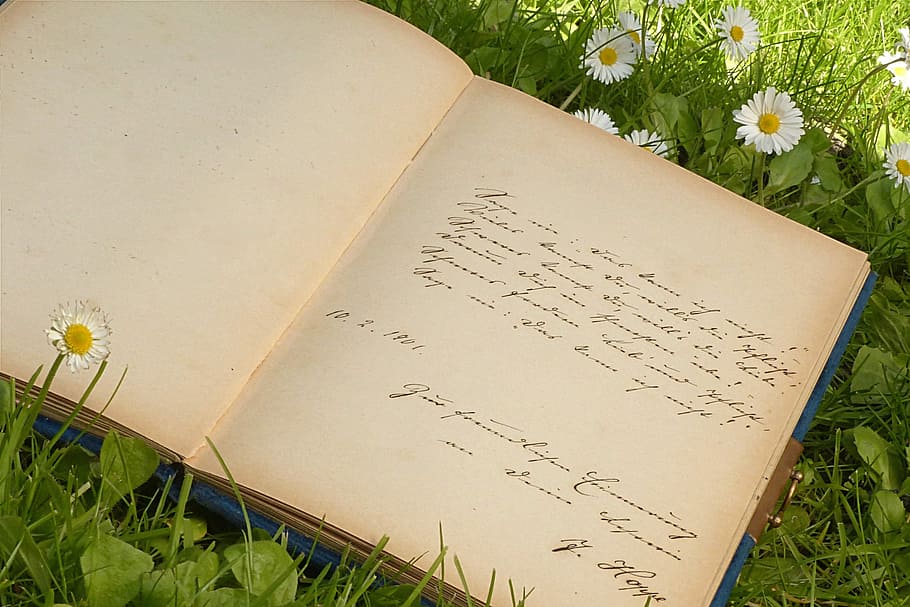 book, white, flowers, grass, poetry album, old, saying, sütterlinschrift, garden, records