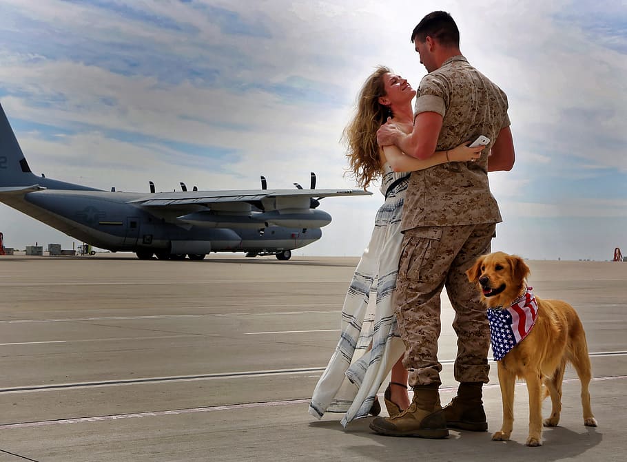 dorado, perro perdiguero, de pie, siguiente, mujer, hombre, abrazos, ejército, regreso a casa, avión