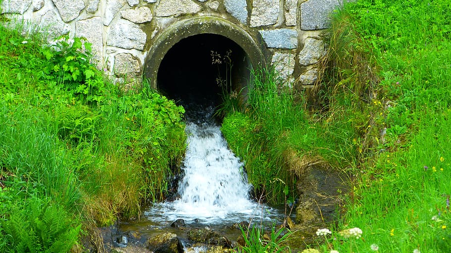 stream, ditch, water, the mouth, pipe, the flow of, green color, nature, plant, architecture