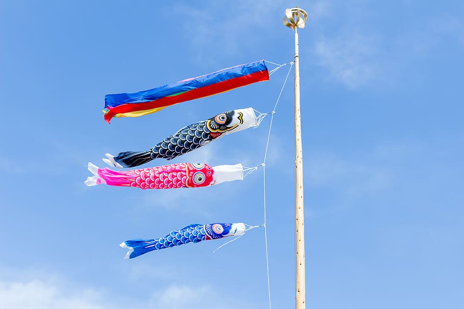 Carp, Streamer, Festival, carp streamer, may, children's day, japan, blue sky, flag, events