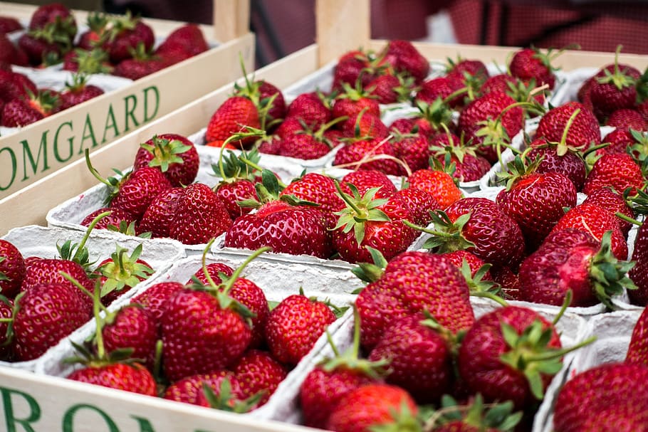 fresco, fresas, cerrar, Fresas frescas, mercado de agricultores, fruta, rojo, verano, frescura, alimentos