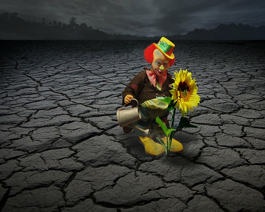 clown, toy, water, flower, illustration, circus, face, funny, fun, sun flower