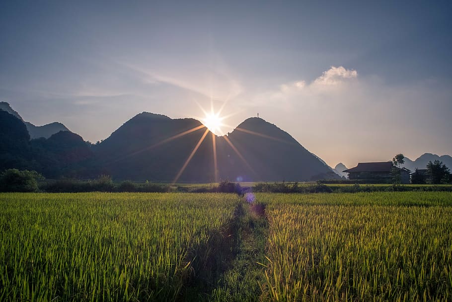 rice field, mountain, sa pa, occupational rehabilitation viet nam, lao cai, viet nam yen bai, yenbaivietnam, travel, sky, scenery