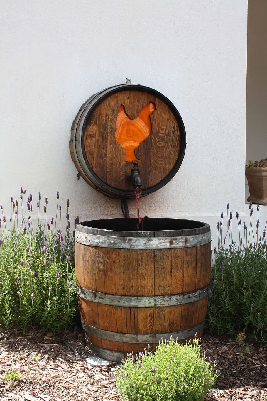 barrel, wine barrel, south africa, wooden barrels, wood - material, nature, cylinder, plant, day, container