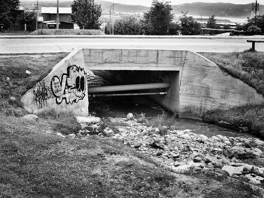 bridge, argentina, architecture, urban, ushuaia, graffiti, built structure, day, tree, text