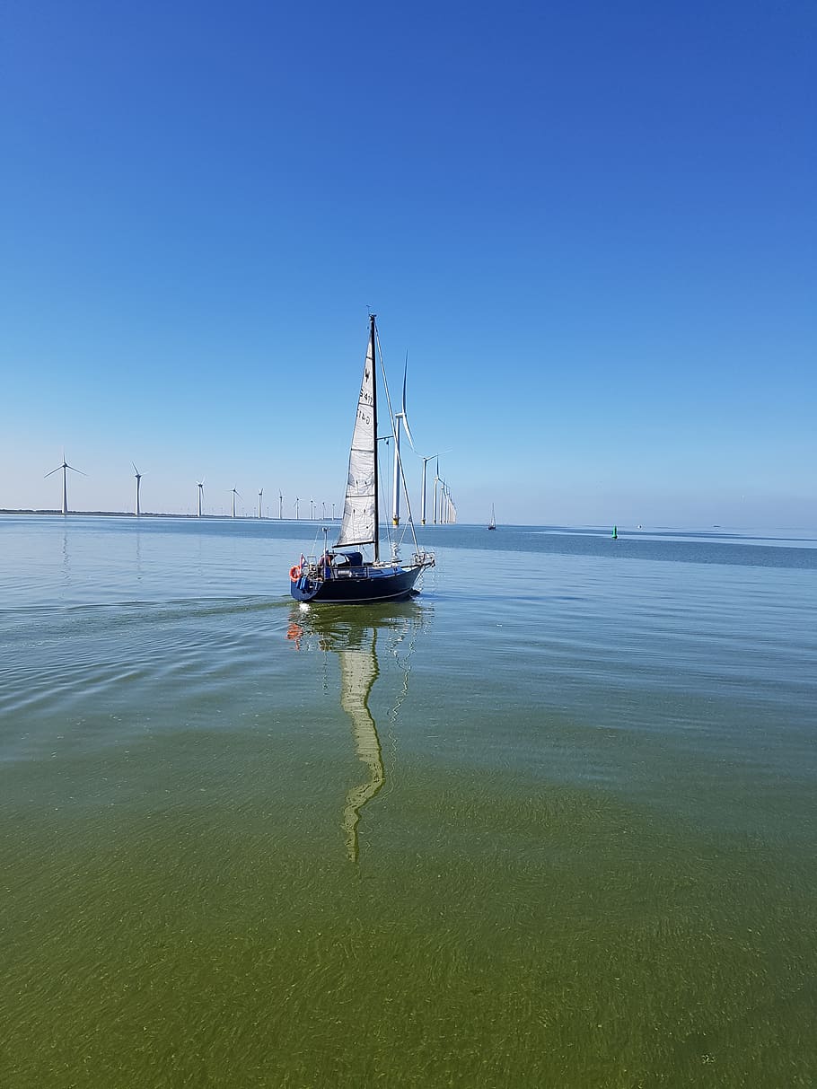 sailing boat, ijsselmeer, water, summer, vacations, sun, travel, in the, sky, nautical vessel