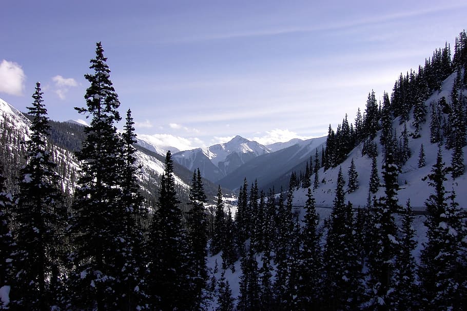 widescreen photography, mountain, covered, snow, mountains, colorado, winter, forest, scenery, tree