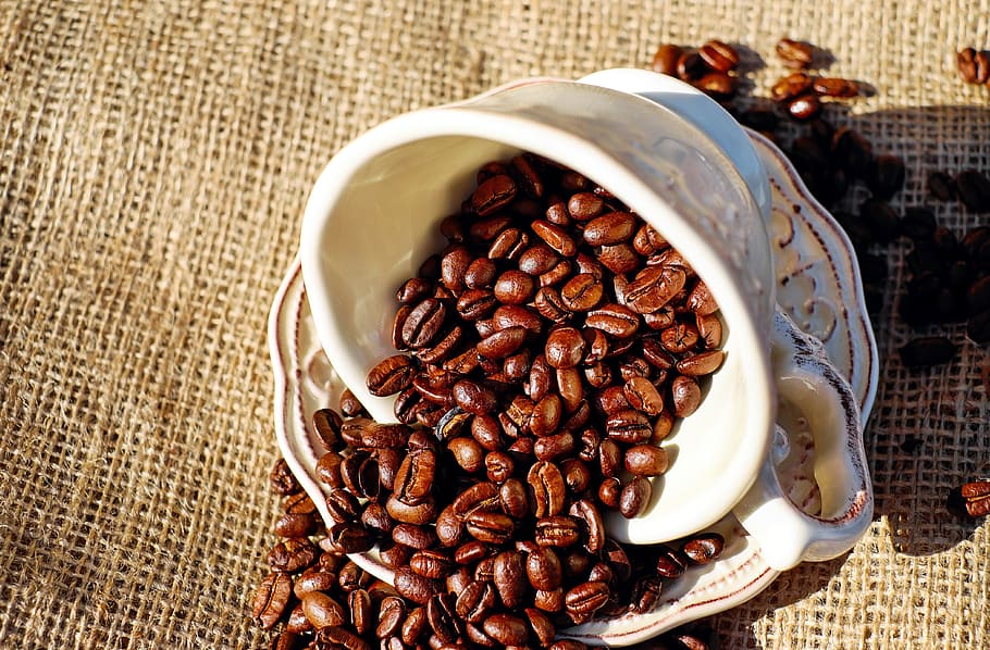 茶色, コーヒー豆, 白, セラミック, カップ, コーヒー, コーヒーカップ, 磁器, 豆, 食べ物と飲み物