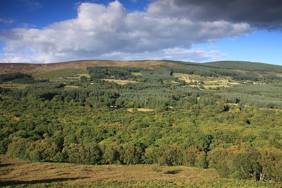 glencree, hutan, wicklow, irlandia, alam ireland, lingkungan, lanskap, awan - langit, keindahan di alam, scenics - alam