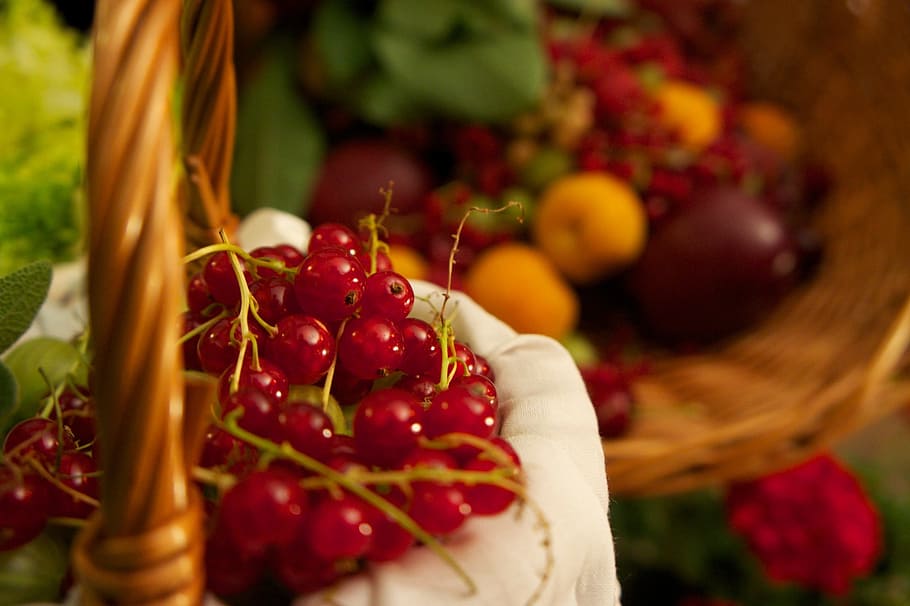 buah merah bulat, kismis merah, memetik, merah, vintage, matang, buah, keranjang, makanan dan minuman, makan sehat