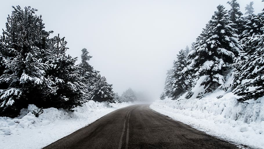 полутоновое фото, бетон, дорога, деревья, покрытый, снег, зима, оттенки серого, фото, бетонная дорога