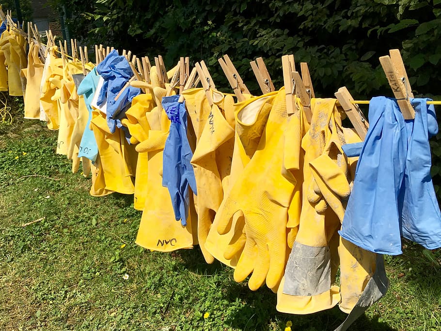 手袋, 黄色, 青, 連続, 洗濯物, 草, 乾燥, 吊り下げ, 衣類, 植物