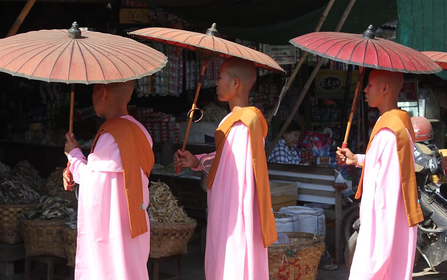 Monks, Myanmar, Buddhist, Asia, Buddha, burma, novice, burmese, ethnic, kid