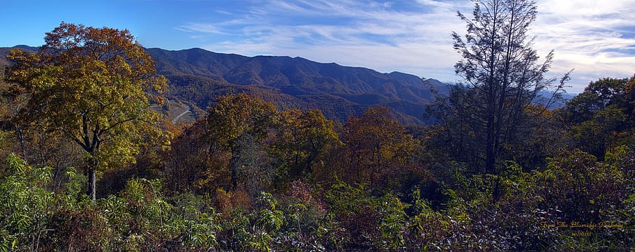 paisaje, blue ridge parkway, montañas, naturaleza, bosque, montaña, árbol, otoño, al aire libre, pintorescos