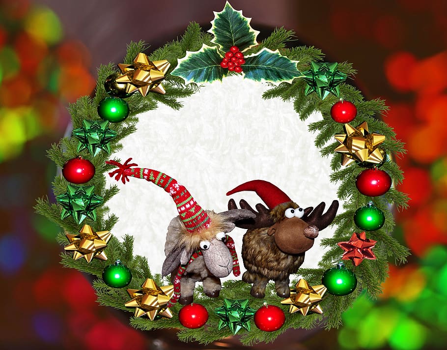 christmas, decoration, wreath, holly, reindeer, funny, cute, celebration, holiday, christmas tree