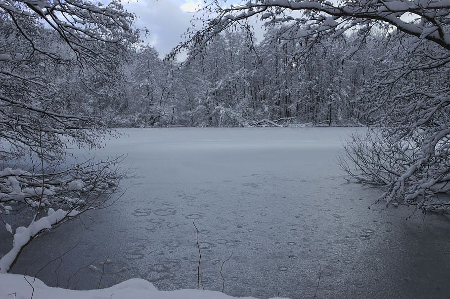 冬, 氷, 池, 自然, 凍った, 寒い, 海, 氷の覆い, 雪, 湖