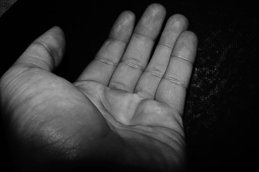 person's left hand, Hand, Beg, Want, Hands, gift, give, human body part, human hand, one person