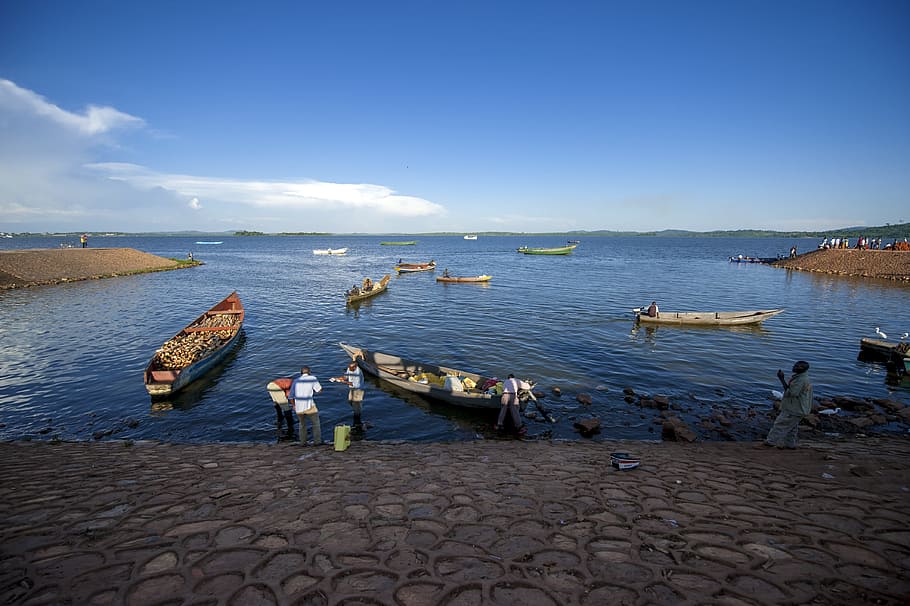uganda, lake victoria, Uganda, Lake Victoria, ggaba landing site, lake, blue sky, africa, water, travel, environment