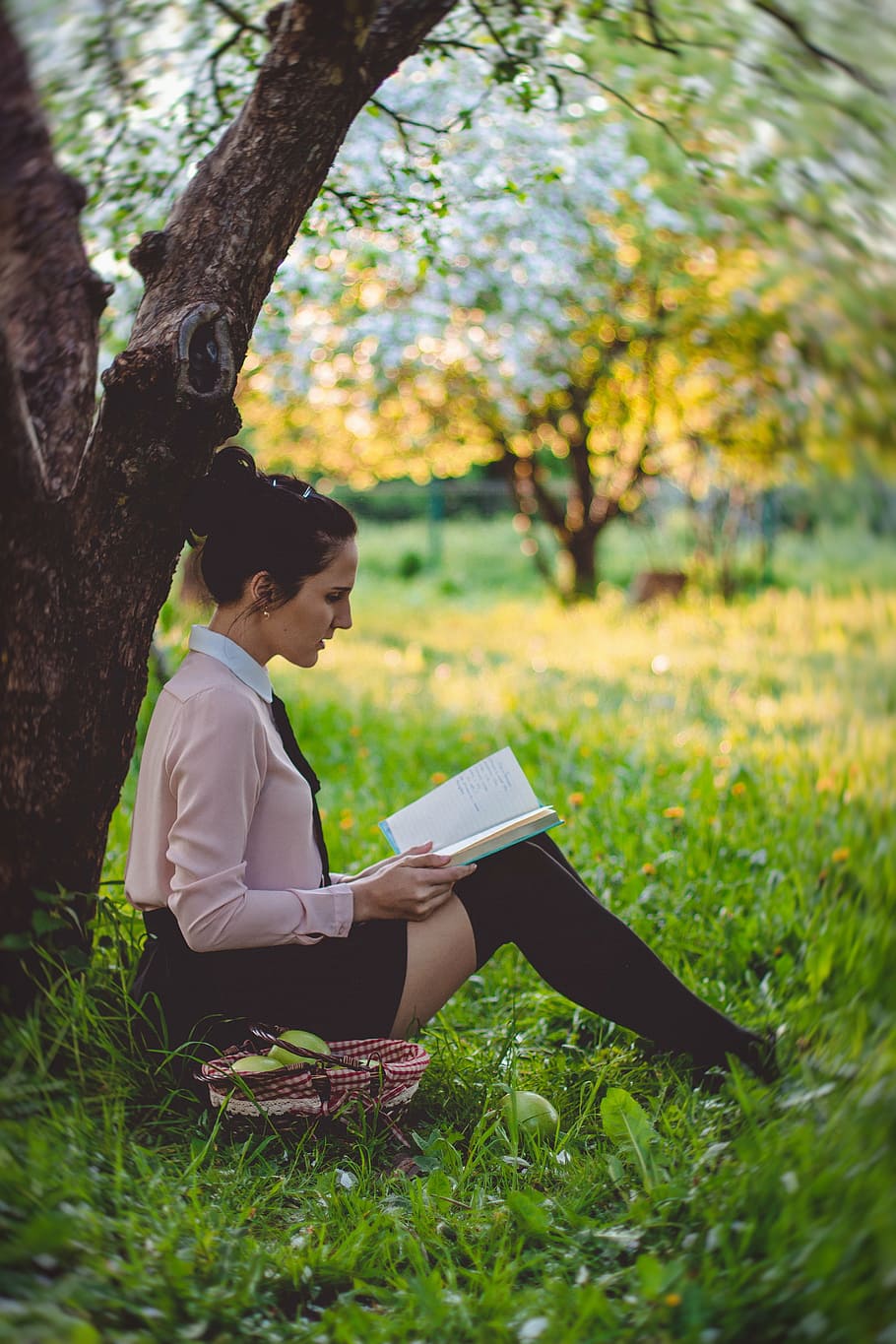 wanita, duduk, hijau, halaman rumput, pohon, buku bacaan, siang hari, orang-orang, gadis, membaca