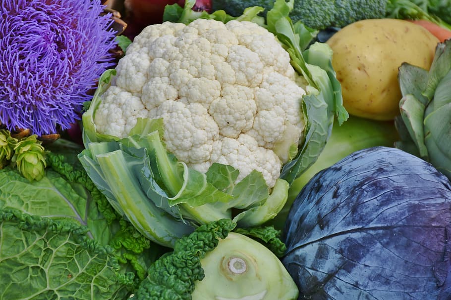 white, broccoli, potato, cauliflower, red cabbage, savoy, kohlrabi, onion, red onion, vegetables