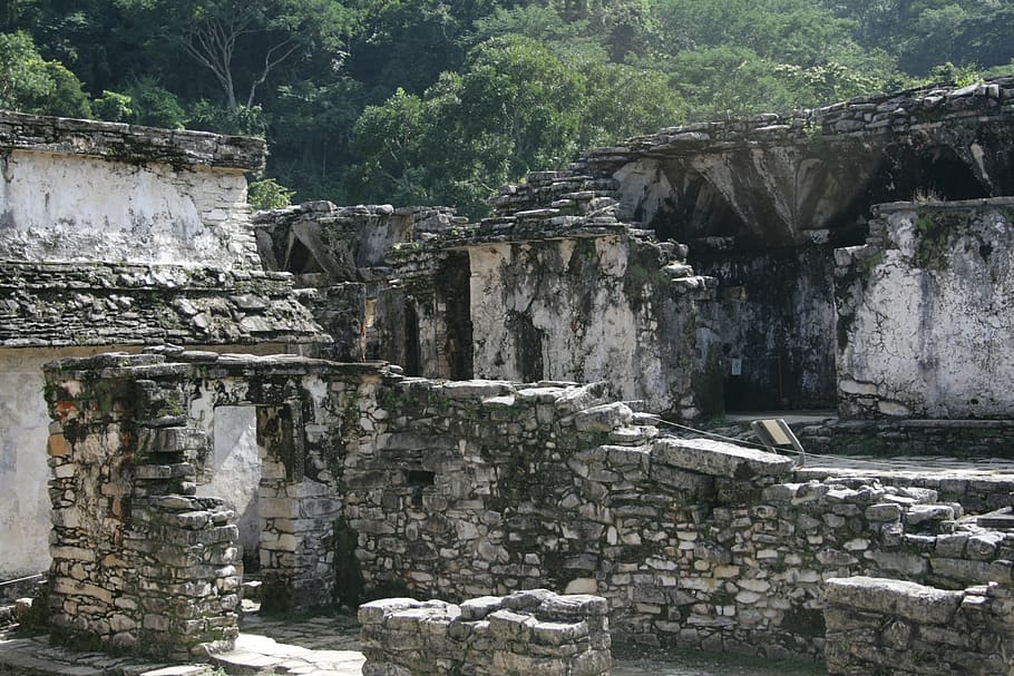 palenque, prehispanic, mayan, ruins, mexico, architecture, culture, chiapas, building, tourism