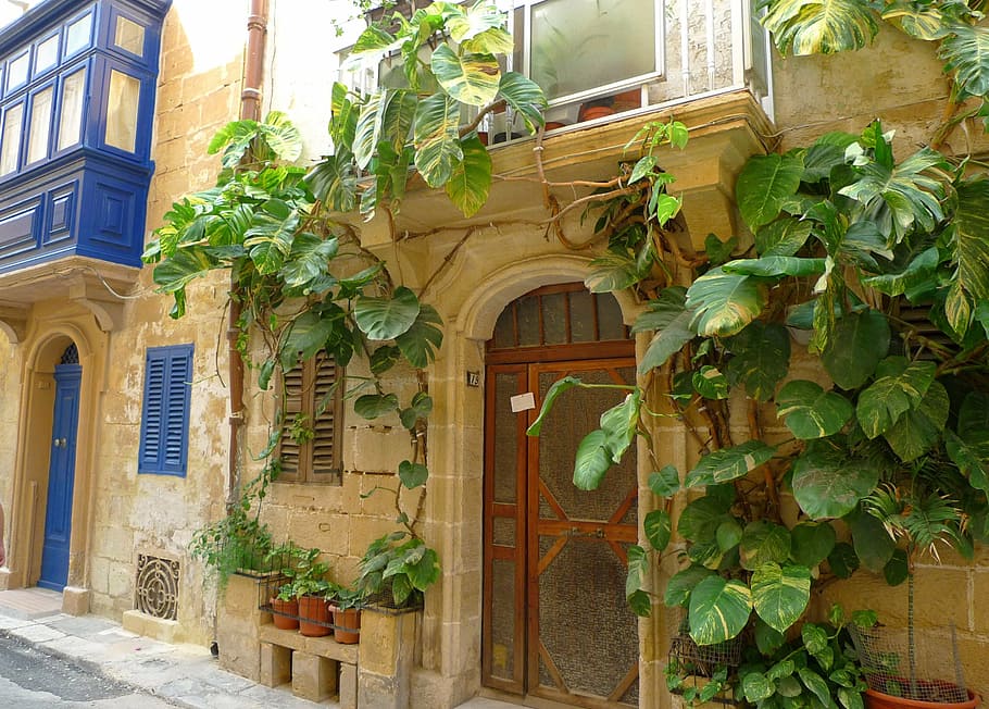 home front, building, climber, idyll, exotic, malta, gozo, mediterranean, travel, architecture